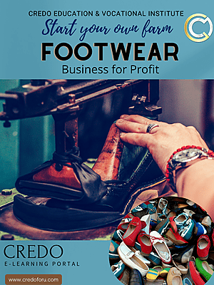 MSME: FOOTWEAR