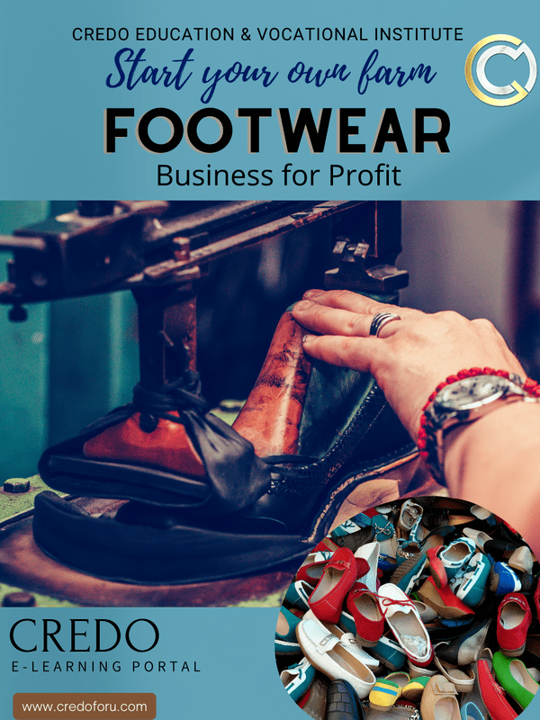 MSME: FOOTWEAR