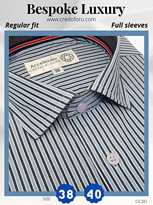 Arvind Fabric Black Stripe, Blue Formal Shirt