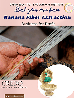 MSME: BANANA FIBER EXTRACTION