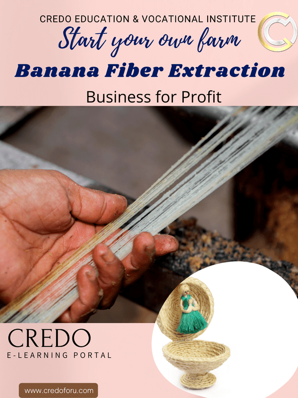 MSME: BANANA FIBER EXTRACTION MSME: BANANA FIBER EXTRACTION