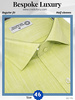 Arvind Fabric Light Green & White Texture Formal Shirt