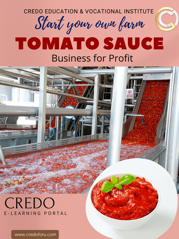 MSME: TOMATO SAUCE MSME: TOMATO SAUCE