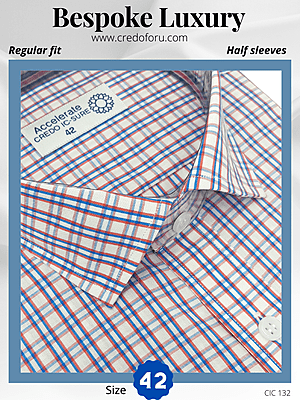 Raymond Fabric Red & Blue Check Formal Shirt