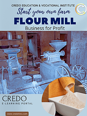 MSME: FLOUR MILL