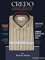 Arvind Fabric Grey Stripe Formal Shirt