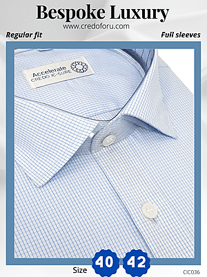 White & Blue Check Formal Shirt