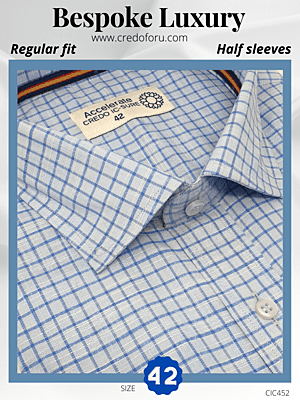 Raymond Fabric Blue Check Formal Shirt