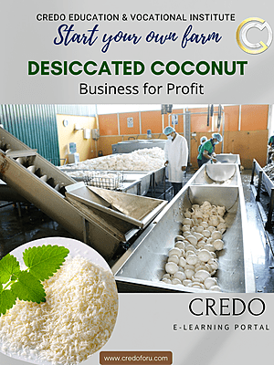 MSME: DESICCATED COCONUT