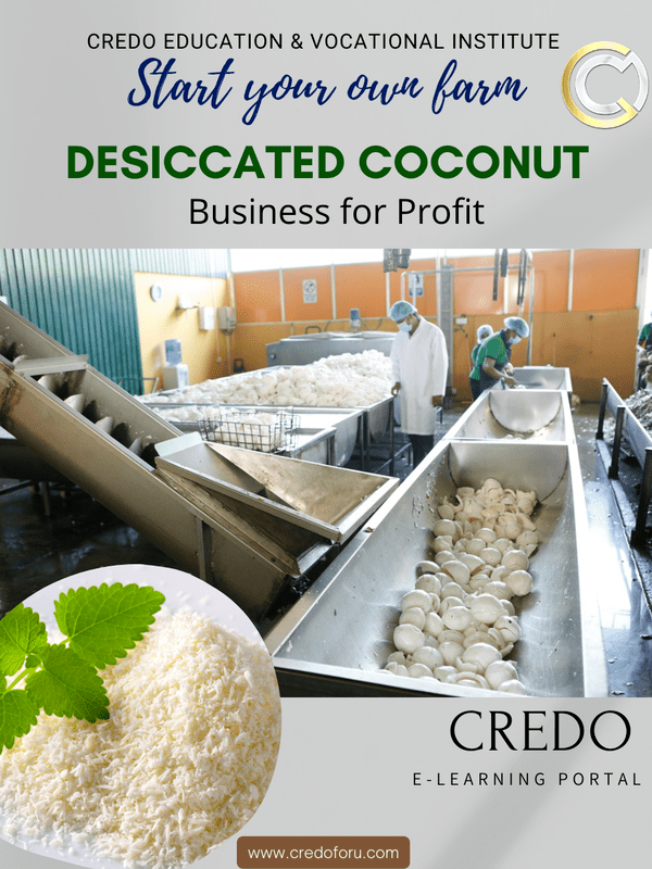 MSME: DESICCATED COCONUT MSME: DESICCATED COCONUT