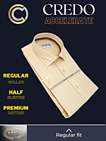 Raymond Light Peach Texture Formal Shirt Raymond Light Peach Texture Formal Shirt
