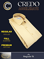 Beige Colour Formal Shirt