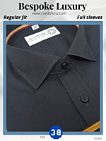 Raymond Fabric Solid Black Formal Shirt