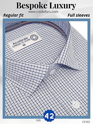 Raymond Fabric Blue&White Check Formal Shirt