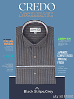 Arvind Fabric Black Stripe on Grey Formal Shirt