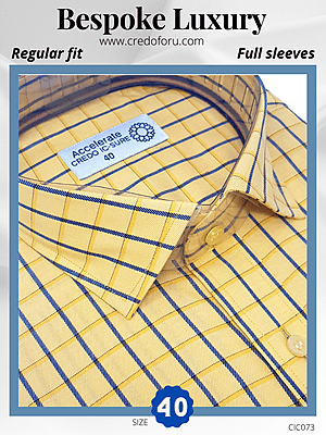 Raymond Fabric Yellow & Blue Check Formal Shirt