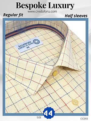 Raymond Fabric Red Blue Checks Formal Shirt