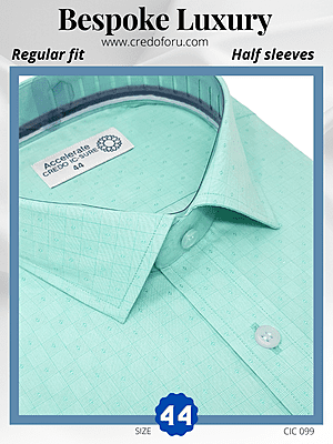 Raymond Fabric Light Green Formal Shirt