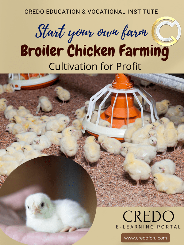 BROILER CHICKEN FARMING BROILER CHICKEN FARMING