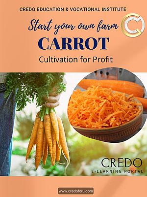 CARROT CULTIVATION