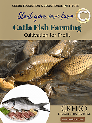 CATLA FISH FARMING