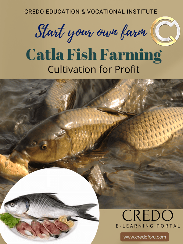 CATLA FISH FARMING CATLA FISH FARMING