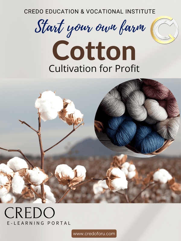 COTTON CULTIVATION