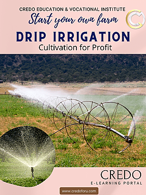 INFRASTRUCTURE: DRIP IRRIGATION