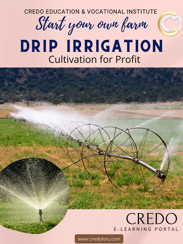 INFRASTRUCTURE: DRIP IRRIGATION INFRASTRUCTURE: DRIP IRRIGATION