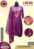 Purple Kurti (C22-f08)