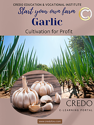 GARLIC CULTIVATION