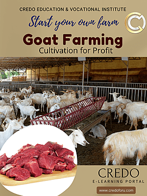 GOAT FARMING PROJECT