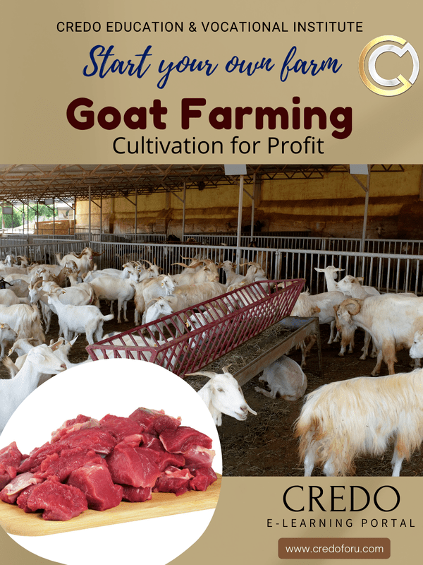 GOAT FARMING PROJECT GOAT FARMING PROJECT
