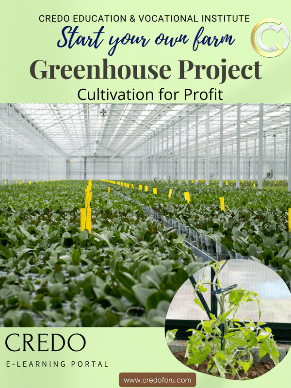 INFRASTRUCTURE: GREEN HOUSE