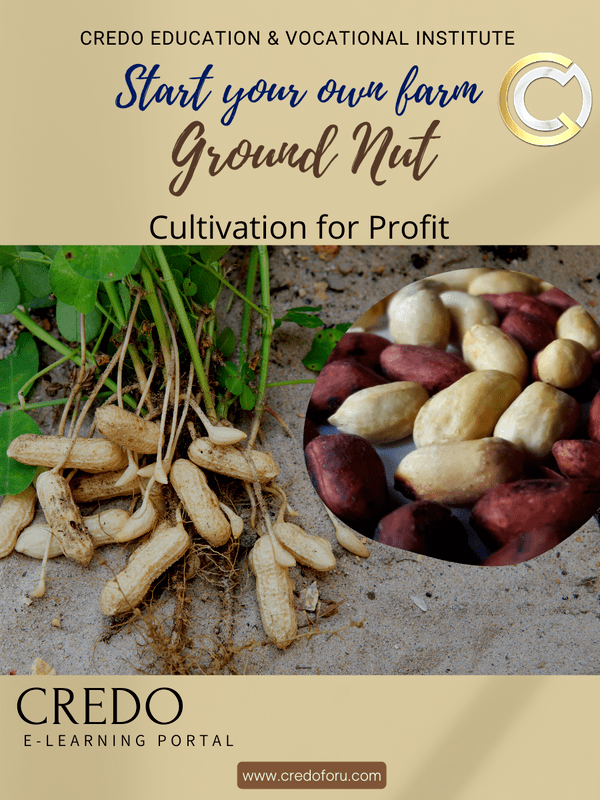 GROUND NUT CULTIVATION