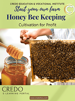 HONEY BEE FARMING