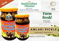 Gooseberry(Amlaki) Pickle (500gm) Gooseberry(Amlaki) Pickle (500gm)