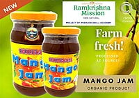 Mango Jam (500gm) Mango Jam (500gm)