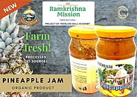 Pineapple Jam (500gm)