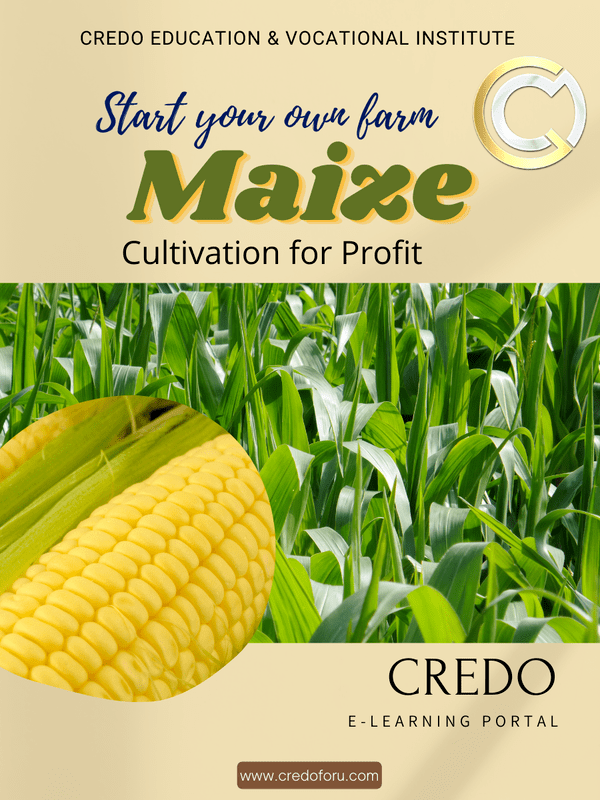 MAIZE CULTIVATION MAIZE CULTIVATION