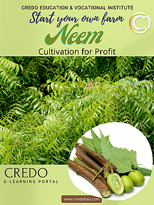 NEEM CULTIVATION