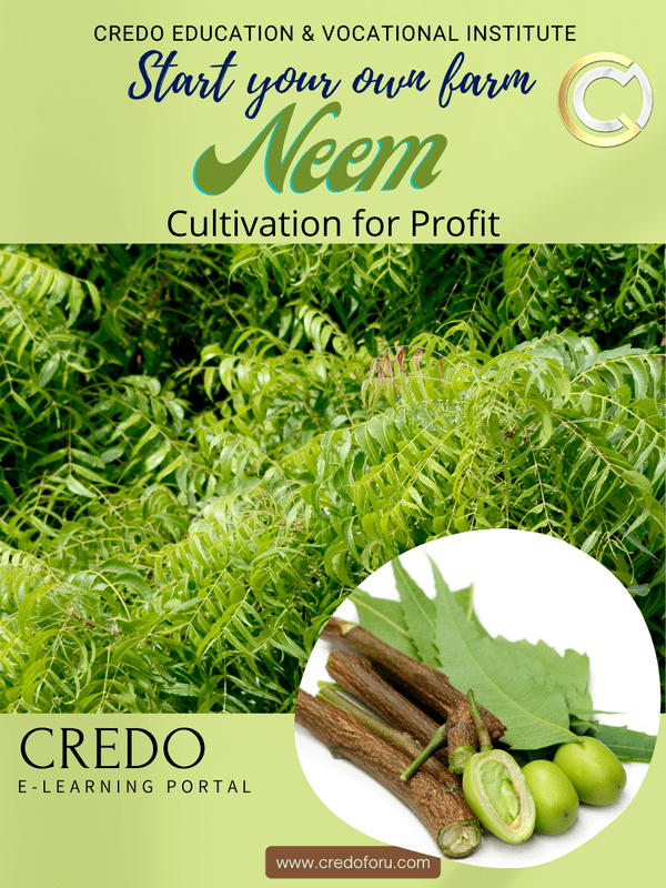 NEEM CULTIVATION