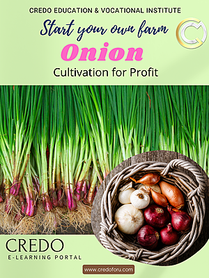 ONION CULTIVATION