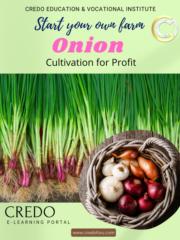 ONION CULTIVATION ONION CULTIVATION