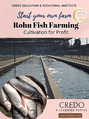 ROHU FISH FARMING