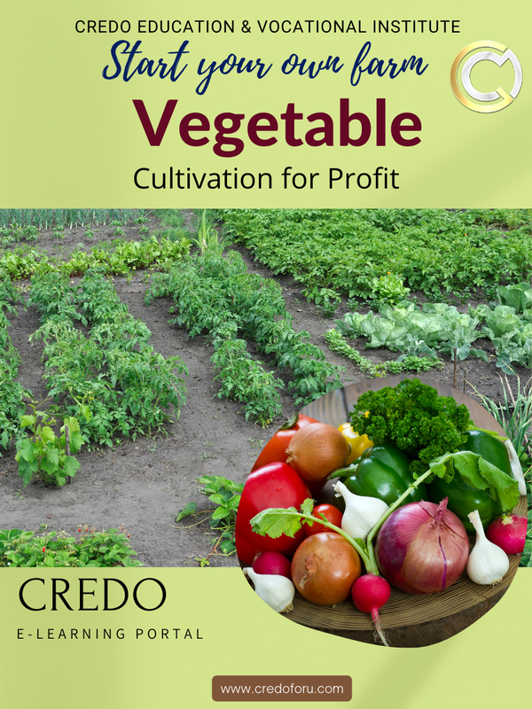 ORGANIC VEGETABLE CULTIVATION ORGANIC VEGETABLE CULTIVATION