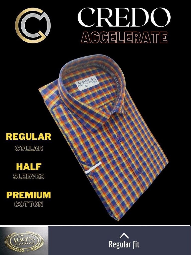 Multicolour checks Raymond shirt(909)_2.jpg