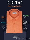 Orange Half Sleeves Formal Shirt_1.jpg