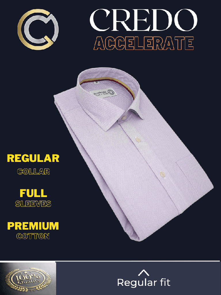 Purple Stripe Full Sleeve Formal Shirt_2.jpg