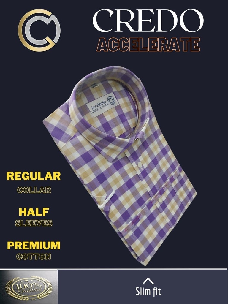 Purple yellow and white checkd Raymond shirt(894)_2.jpg
